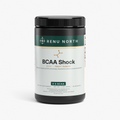 BCAA Shock Powder (Fruit Punch)