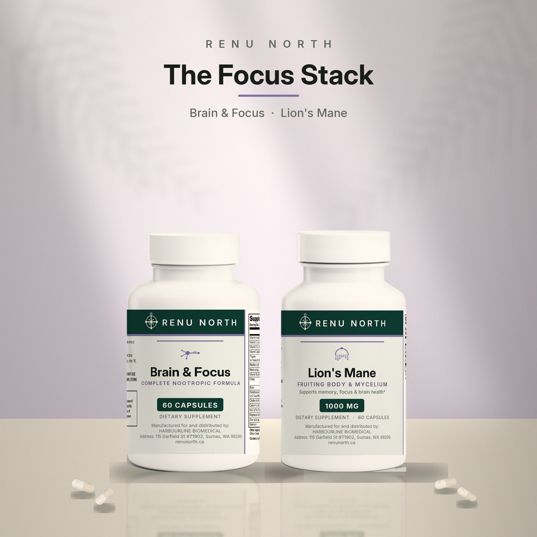 The Focus Stack by Renu North — Brain and Focus Formula with Lion's Mane Mushroom